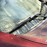 pollen on a car
