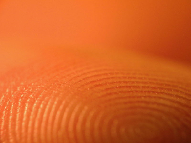 Finger print