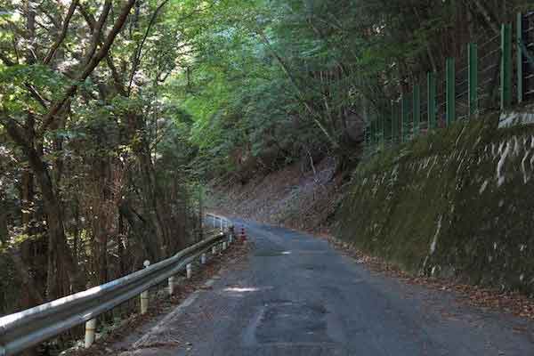 backroad_Source | Douglas Perkins_Creative Commons