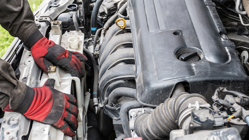 a radiator and cooling fan assembly