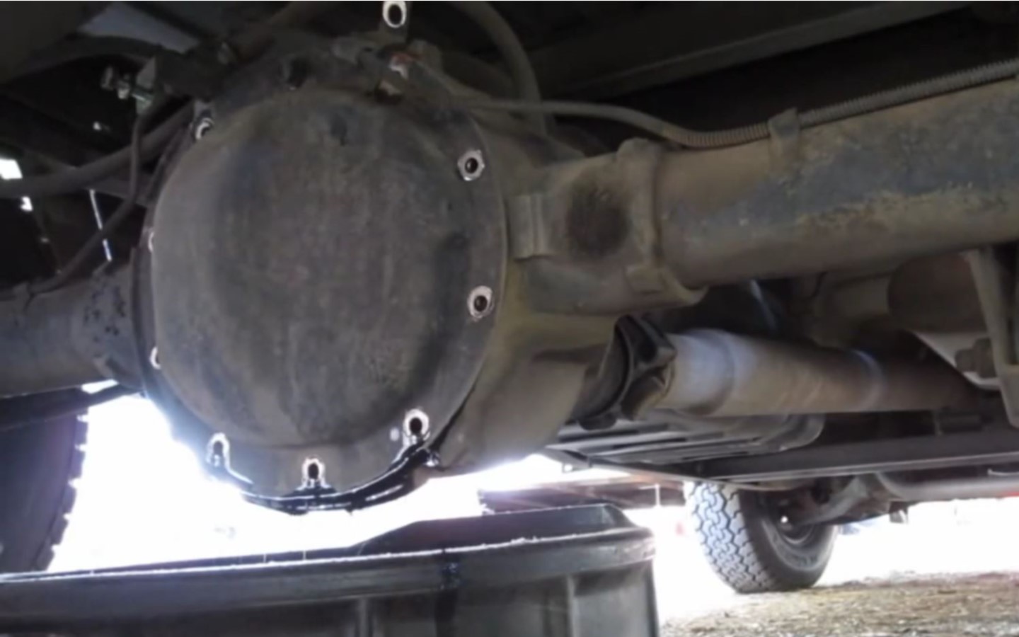 Rear Axle Bearing