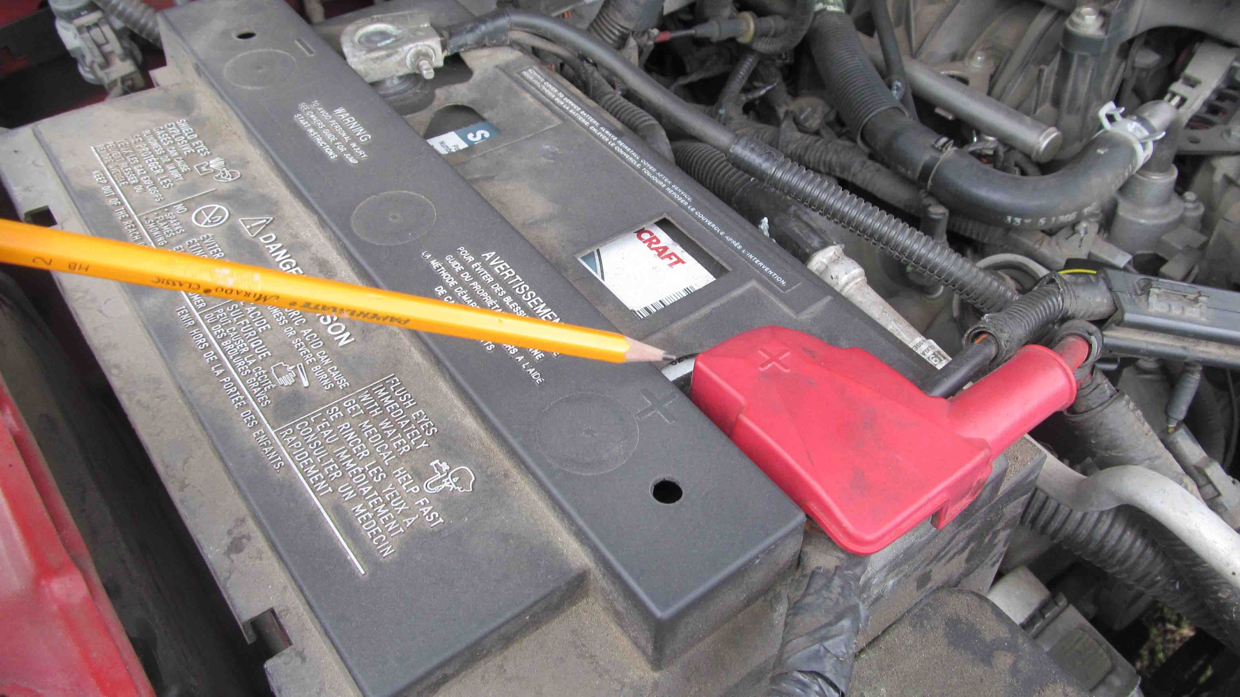 identify the positive terminal