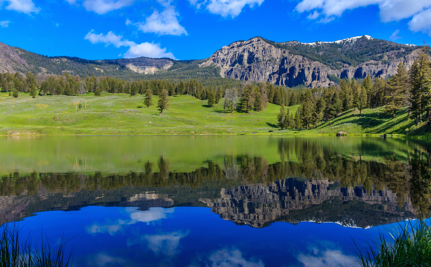 Yellowstone National Park