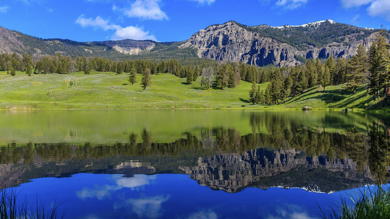 landscape of Trout Lake in Yellowstone