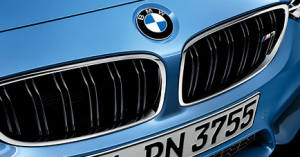 BMW logo picture