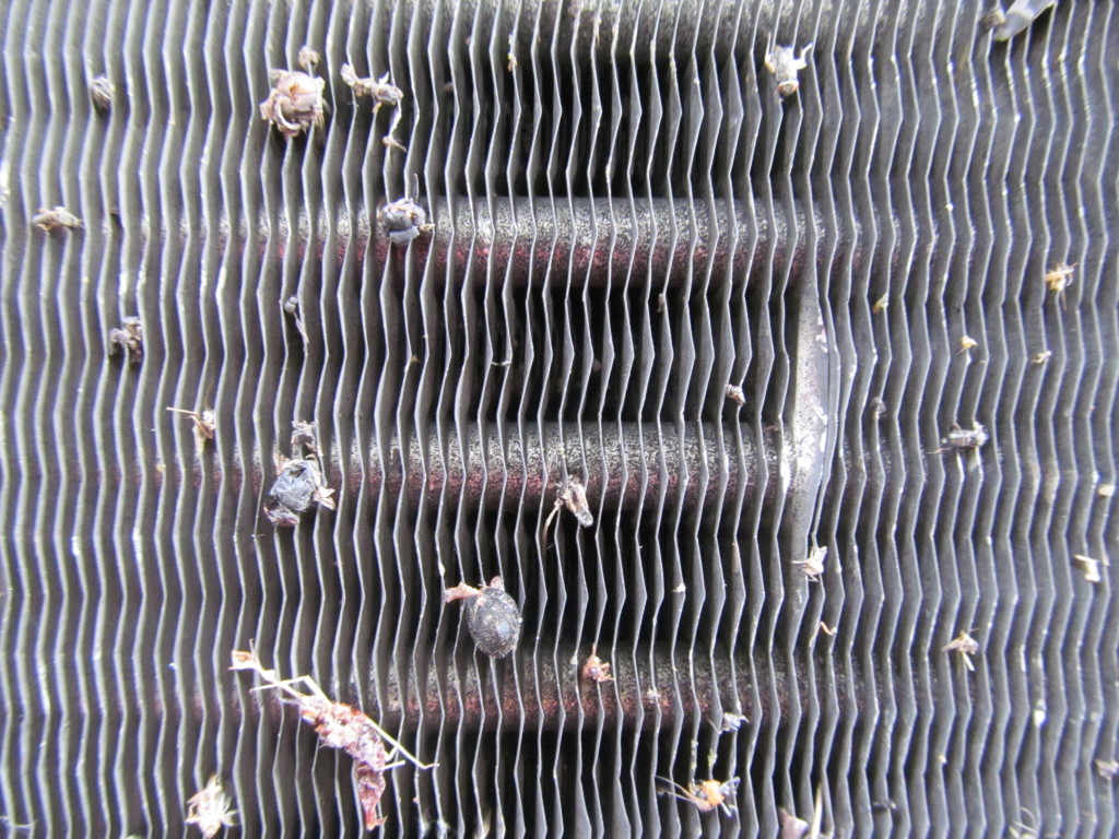 Car radiator photo