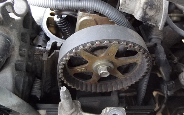 Timing Belt