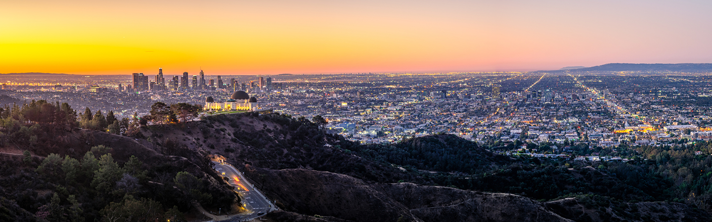 LA skyline