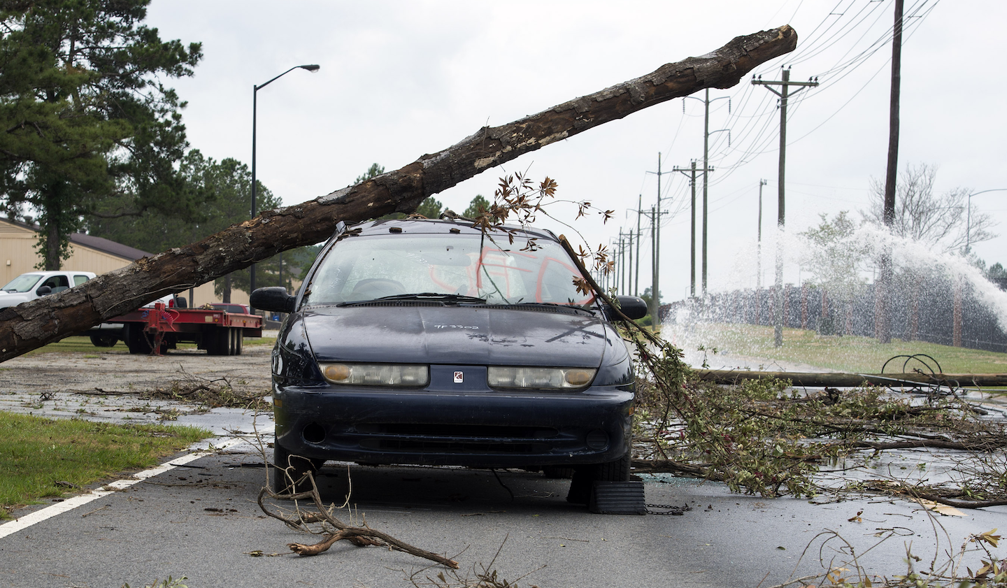 Car with tree down on it