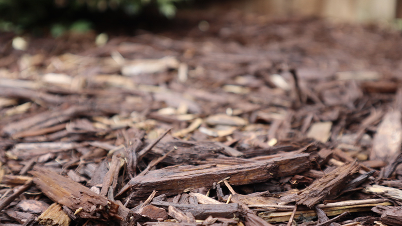 brown mulch