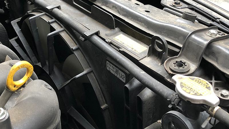 Looking from the engine compartment out towards the grille is the easiest way to see the radiator and the fan mounted behind it.