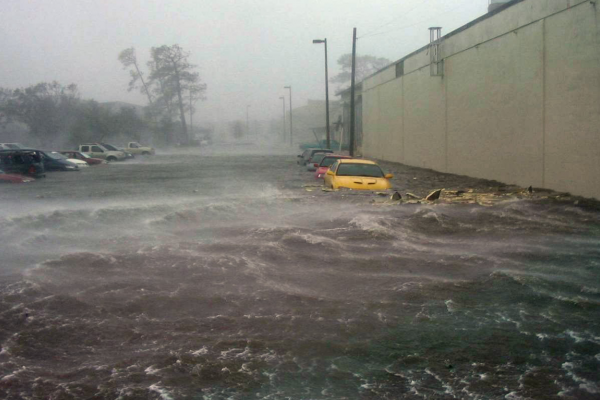 Flooding Cars