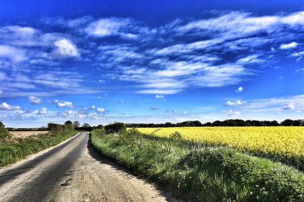 rural road