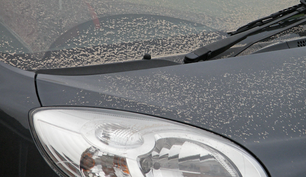 Dusty car