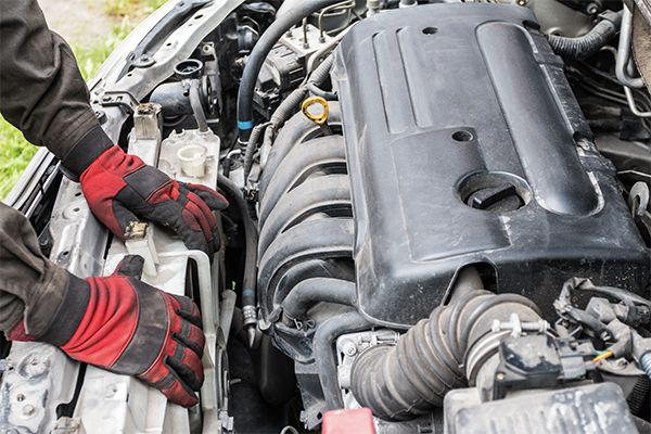 A radiator and fan assembly