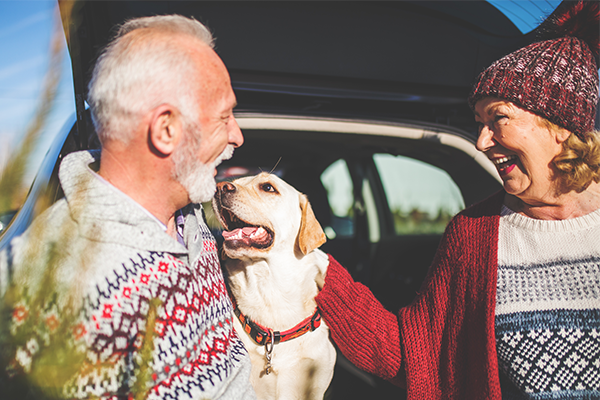 Two elderly people with a dog in their car.