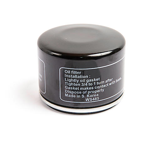 Oil Filter, 25-30 Micron, Paper Media, With Anti-Drain Back Valve