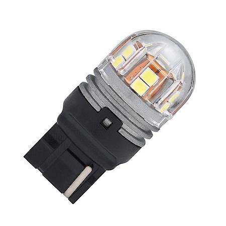 Tail Light Bulb: Lumacore
