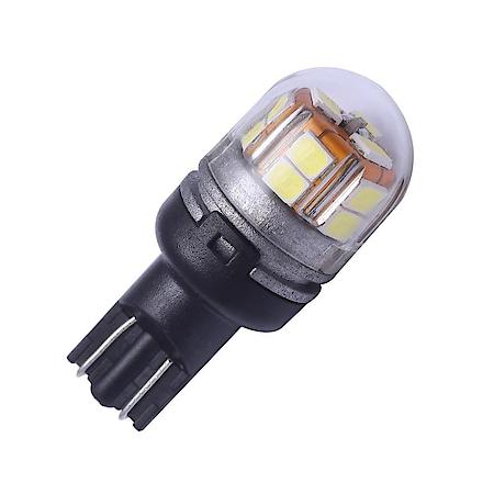 Tail Light Bulb: Lumacore