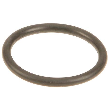 Oil Pan Gasket