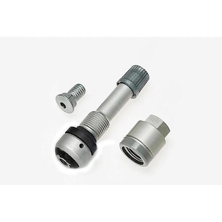 Silver Finish-Includes Valve, Plastic Cap, Core, Grommet, Shear Collar Hex Nut