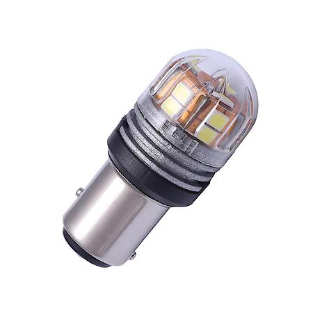 Tail Light Bulb: Lumacore