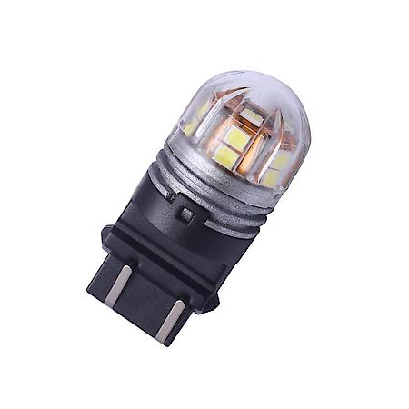 Tail Light Bulb: Lumacore