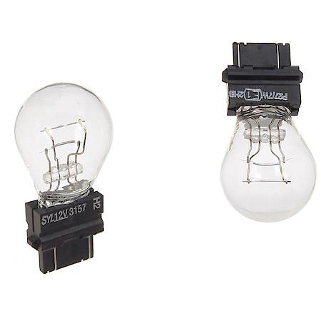 Bulb