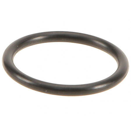 Thermostat Seal / O-