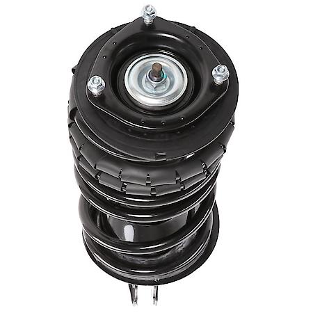 Complete Strut Assembly: Includes Strut, Coil Spring and Mount