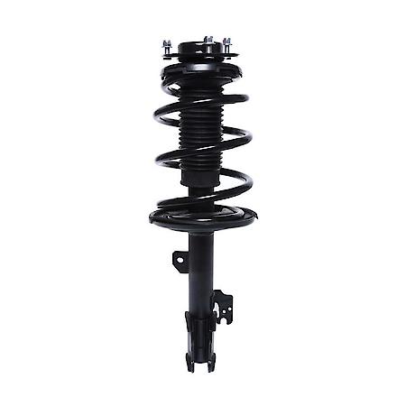 Complete Strut Assembly: Includes Strut, Coil Spring and Mount