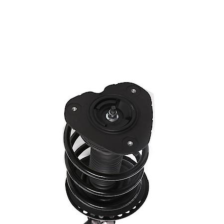Complete Strut Assembly: Includes Strut, Coil Spring and Mount
