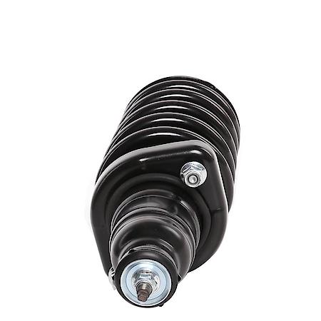 Complete Strut Assembly: Includes Strut, Coil Spring and Mount