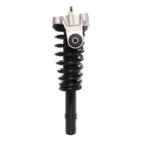 Complete Strut Assembly: Includes Strut, Coil Spring and Mount