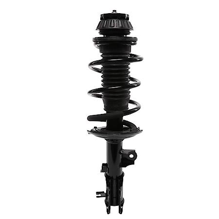 Complete Strut Assembly: Includes Strut, Coil Spring and Mount