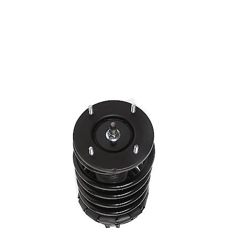 Complete Strut Assembly: Includes Strut, Coil Spring and Mount