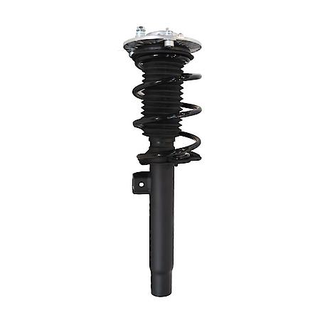 Complete Strut Assembly: Includes Strut, Coil Spring and Mount