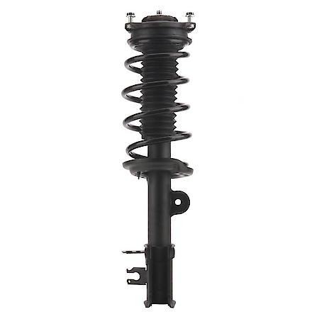 Complete Strut Assembly: Includes Strut, Coil Spring and Mount