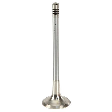 TRW Exhaust Valve