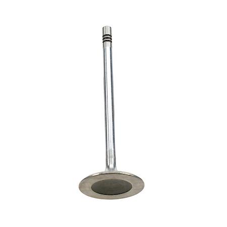 Original Equipment Intake Valve