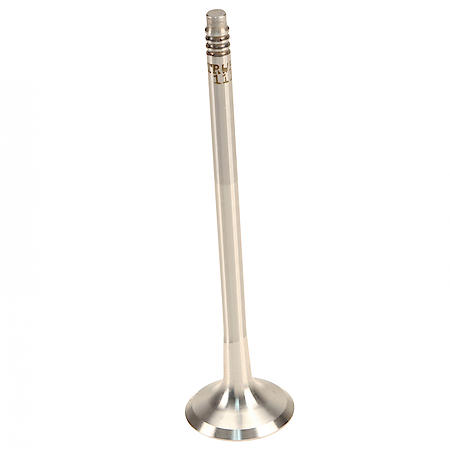Exhaust Valve