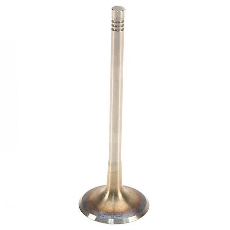 Intake Valve