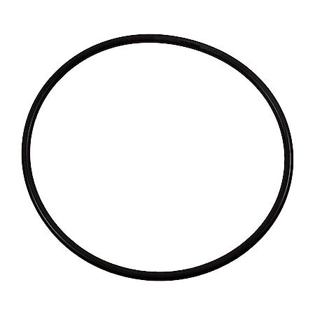 Fuel Pump Tank Seal