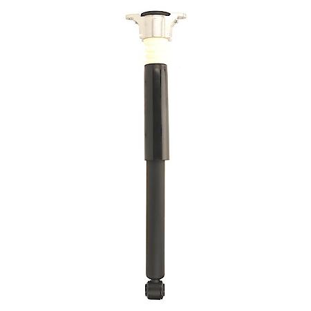 Complete Strut Assembly: Includes Strut, Coil Spring and Mount