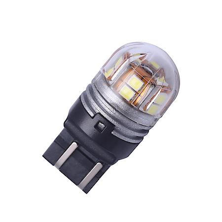 Tail Light Bulb: Lumacore