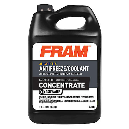 Extended Life All Vehicles Antifreeze Concentrate, 1 Gallon