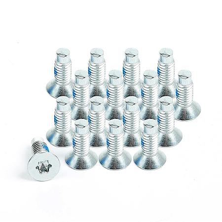 Windshield Hinge Screw