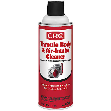 Throttle Body & Air-Intake Cleaner, 12 wt. oz.