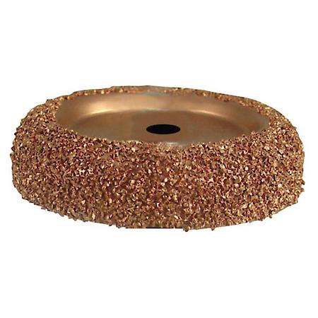 2.5 Buffing Wheel Rasp