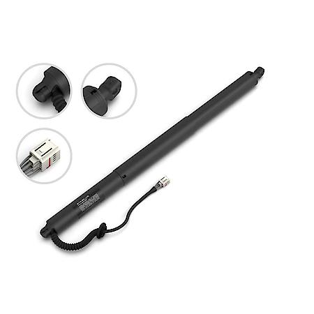 Liftgate Lift Support, 22.64 Inch, 24-18 Audi